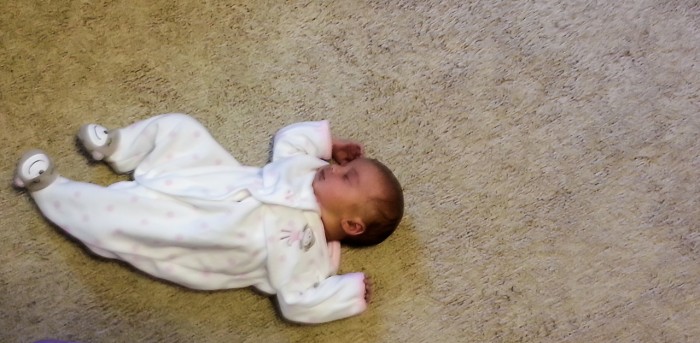 Maisie All Tuckered Out