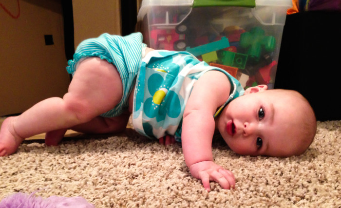 Maisie on the Floor