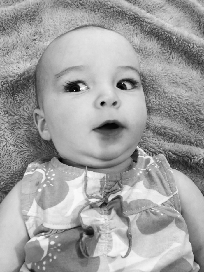 Maisie Looking Suspiciously