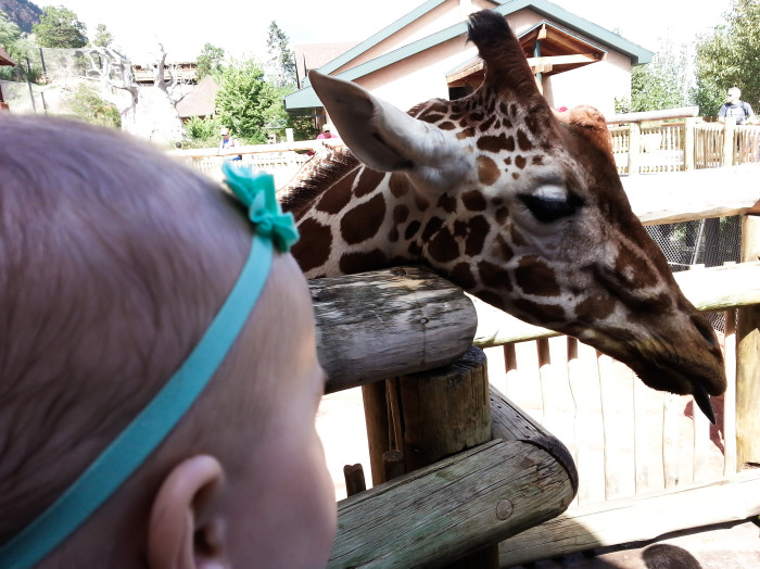Maisie and a Giraffe