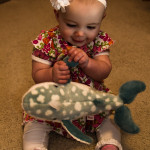 Maisie is 7 Months Old