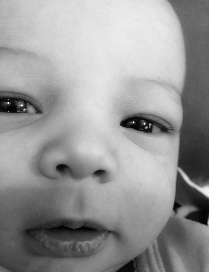 A Close-Up of Maisie