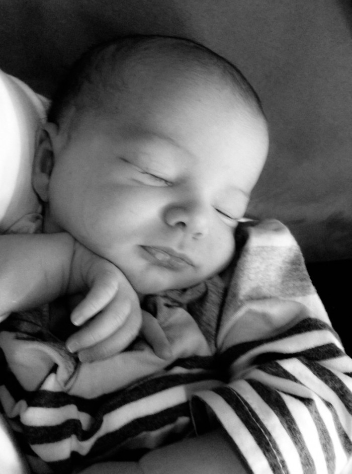 Maisie Sleeping In Hand